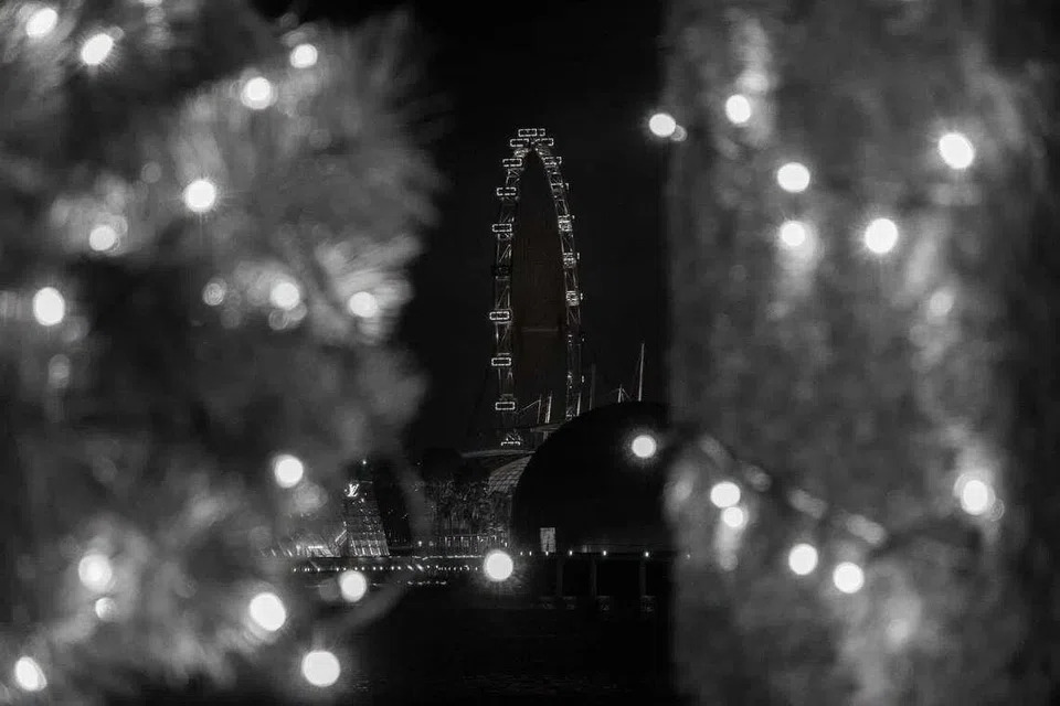 Senior Minister Lee Hsien Loong captured this photo of the Singapore Flyer