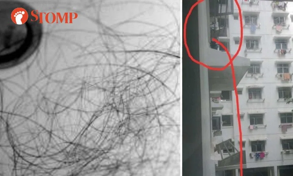 "I would find hair sticking on my balcony, kitchen floor and food," said the Stomper.