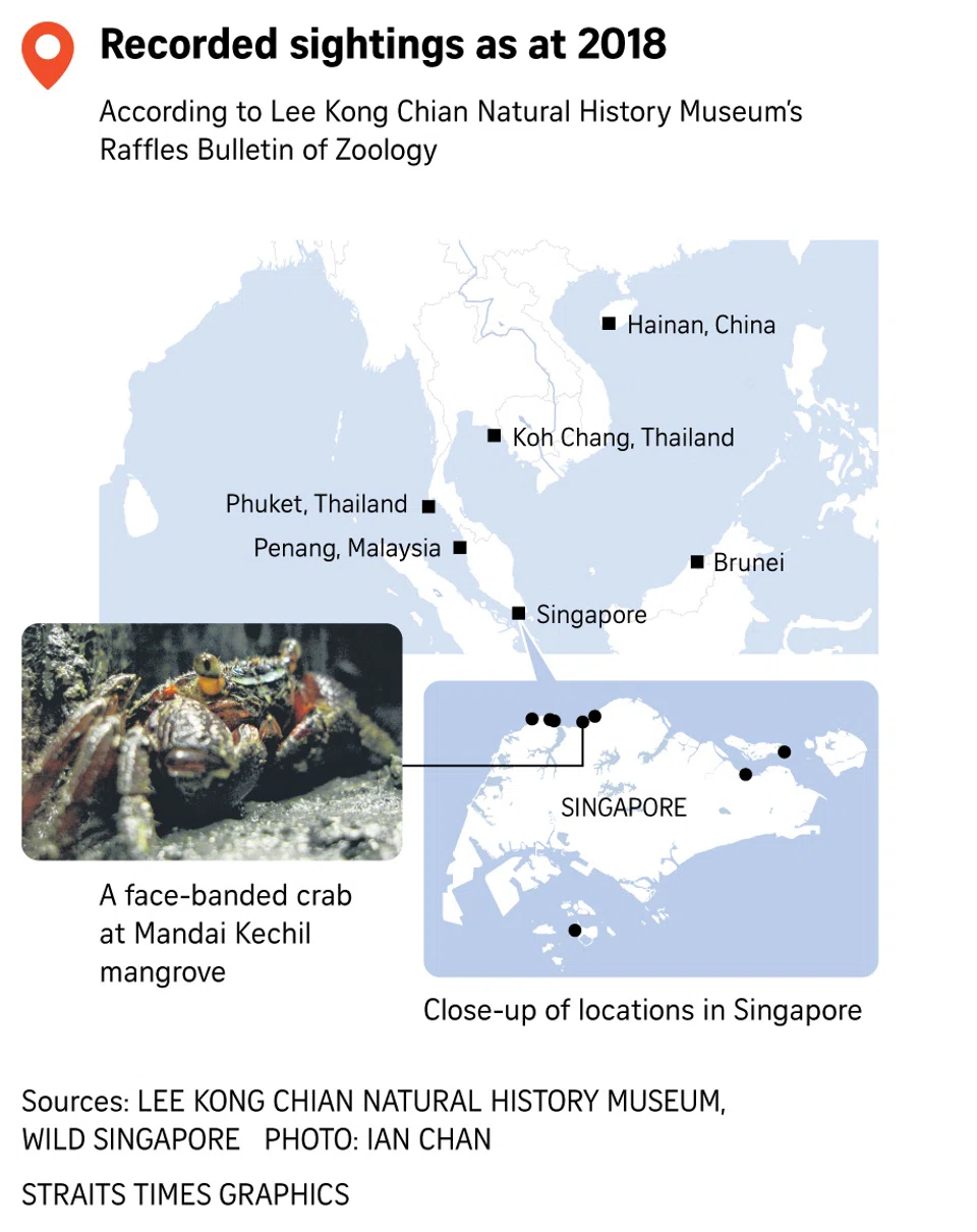 FILE PHOTO: The New Paper