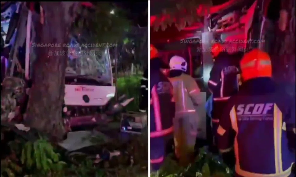 Photos and a video circulating online show an SBS Transit bus with a smashed windscreen after it crashed into a tree.