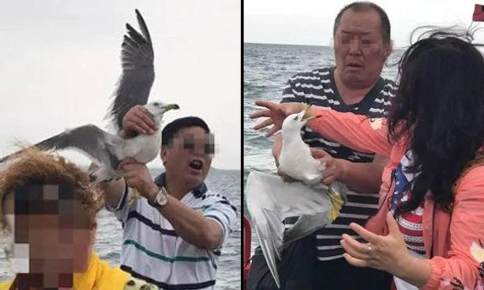 Outrage after tourists grab and squeeze seagull for photos in China