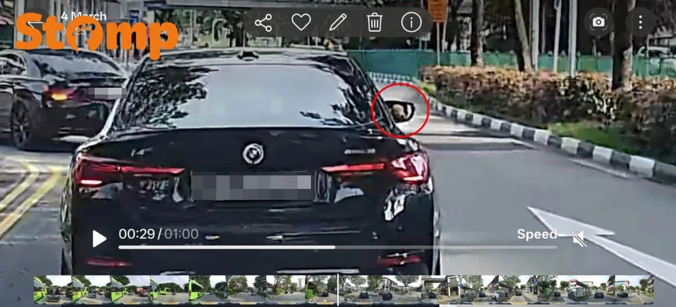 Dog in front seat at Upper Bukit Timah Road