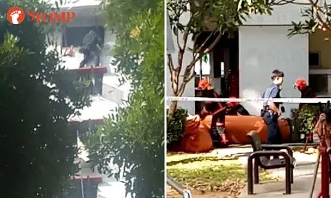 Woman, 34, arrested for attempted suicide and causing hurt to police officer at Marine Terrace
