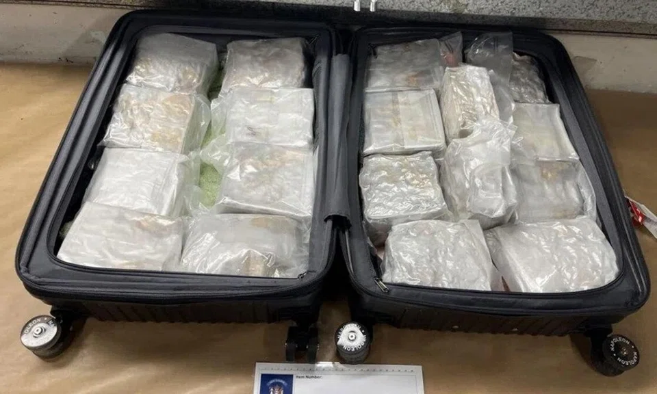 New Zealand Customs Service estimated that the methamphetamine seized could produce up to 922,500 doses, with a potential street value of $4.1 million.