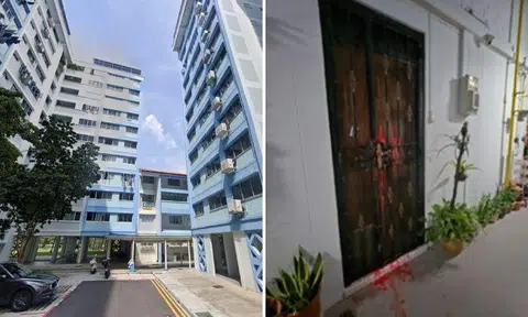 2 nabbed for splashing paint in Pasir Ris believed to be involved in loanshark harassment islandwide 