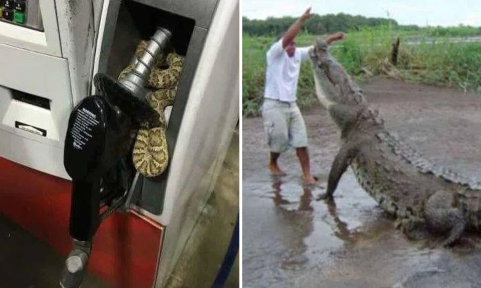 Yikes! Creepy photos that will make you curse out loud