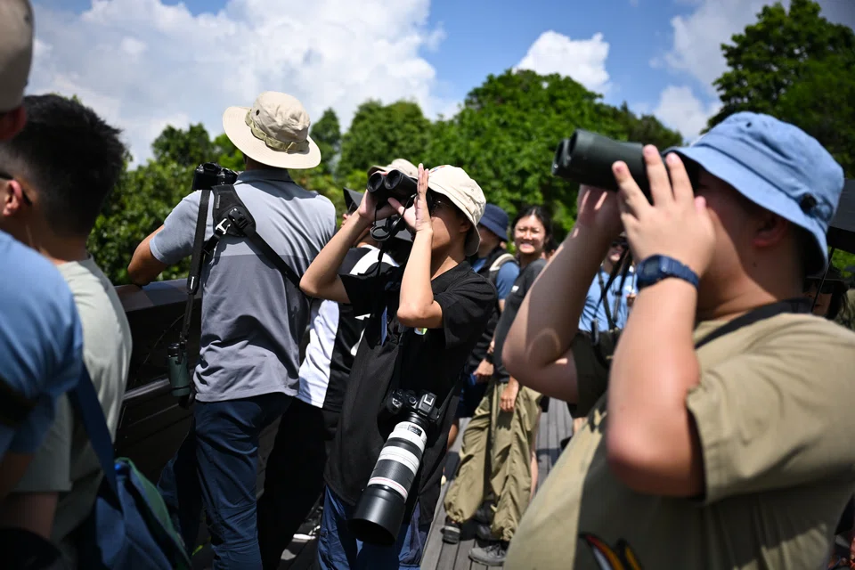Young enthusiasts explore nature through their lenses, proving birding is no longer just for older generations. PHOTO: ST FILE