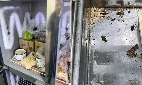 Caterer fined $8k and suspended for multiple food safety lapses, including pest infestation
