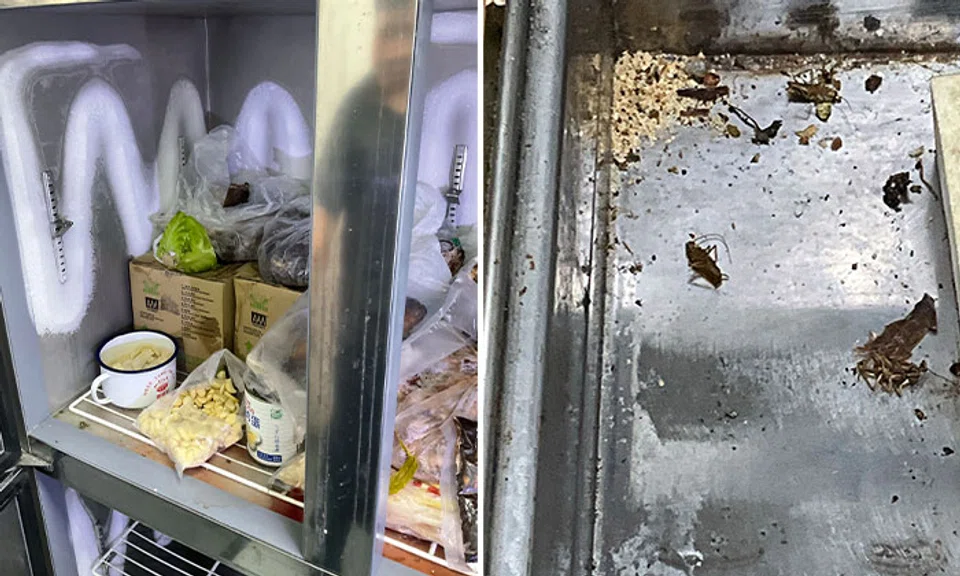 Dirty freezers and cockroaches in the central kitchen of 365 Food Service Pte Ltd. PHOTOS: SFA