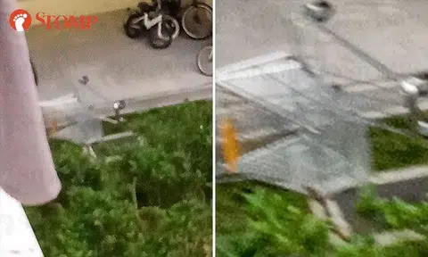 Punggol resident allegedly throws shopping trolley from block in latest case of high-rise littering