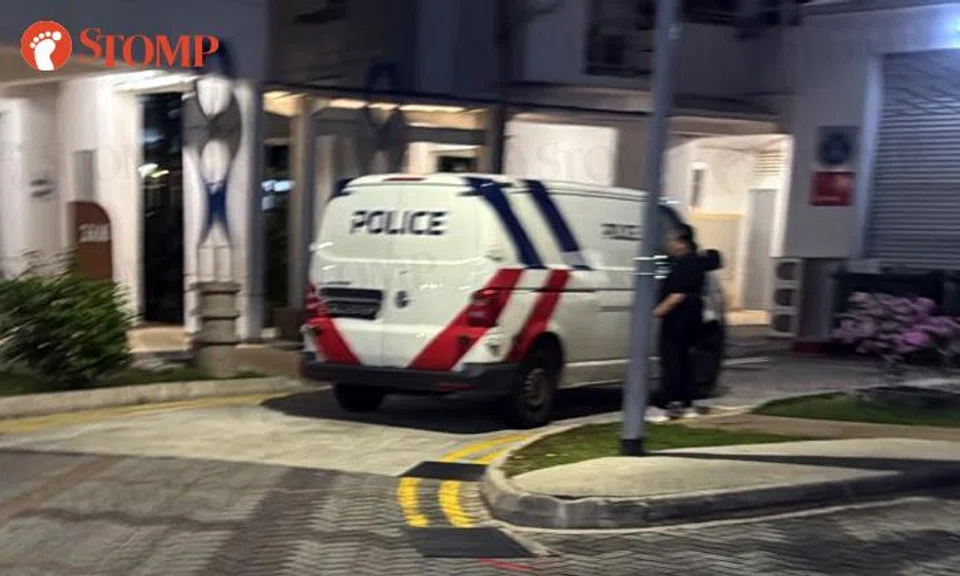 Compassvale resident calls police after finding holes in her kitchen window