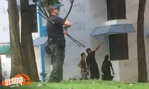 ACRES preparing to catch Segar Rd monkey: Stomp is live at the scene