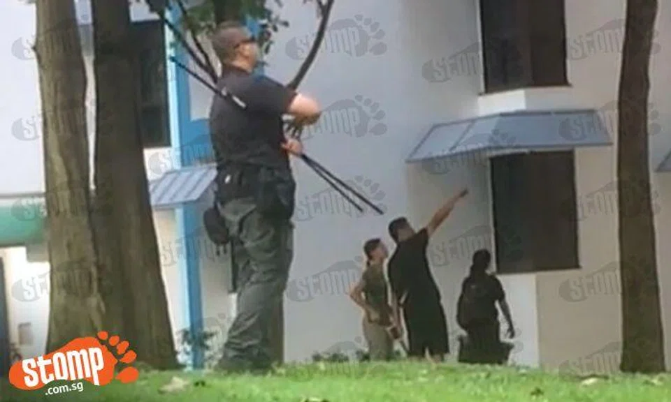 ACRES preparing to catch Segar Rd monkey: Stomp is live at the scene