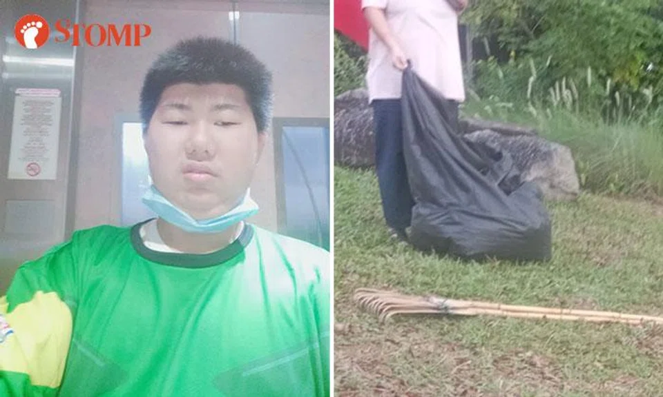 wencong nparks volunteer