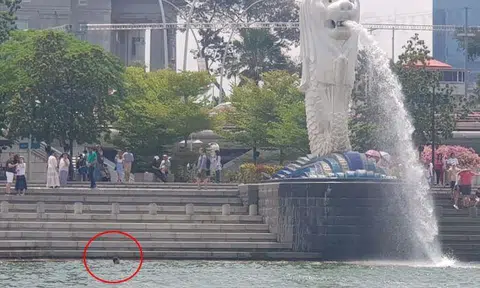 'Olympian-wannabe' goes for a swim in Singapore River in his shorts