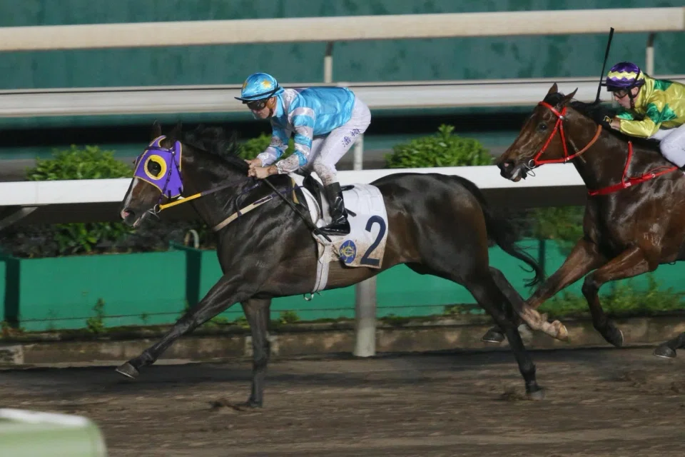 Gummy Gummy (Zac Purton) last won a Class 3 race on June 18, 2023. Hugh Bowman will ride him in the Egret Handicap (1,200m) at Sha Tin on March 26.