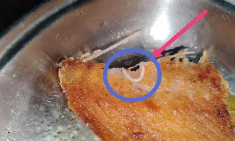 'Very long worm' in salmon from FairPrice's Bedok North outlet turns out to be fish tissue