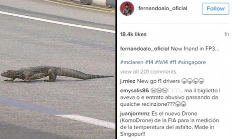F1 driver startled by large monitor lizard on race track in S'pore