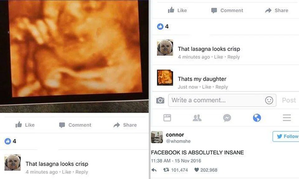 "That lasagna looks crisp": This is what happens when you mistake fetus for Italian dish