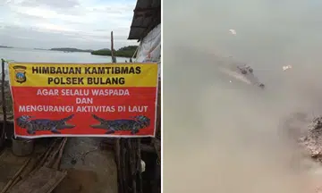 Unclear how many crocodiles escaped Batam farm 30km from Sentosa, NParks monitoring