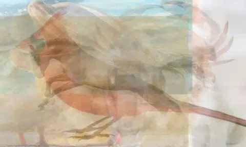 Here's what the animal you see first in this abstract photo says about you