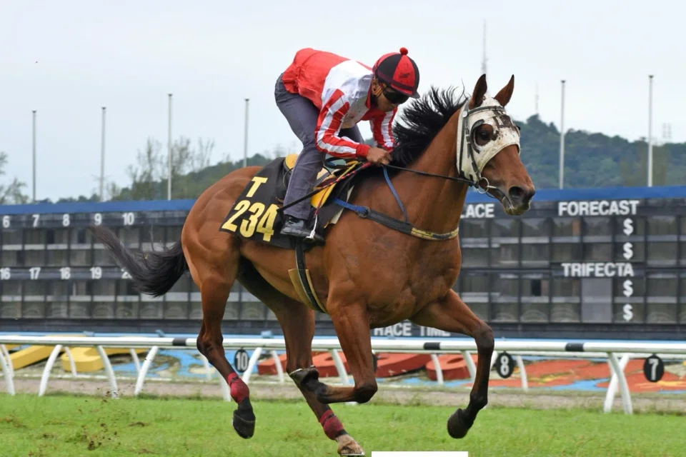 Starboy (Nuqman Rozi) motoring home strongly to claim a barrier trial on Dec 10, 2024. The four-year-old galloped nicely on April 22.
