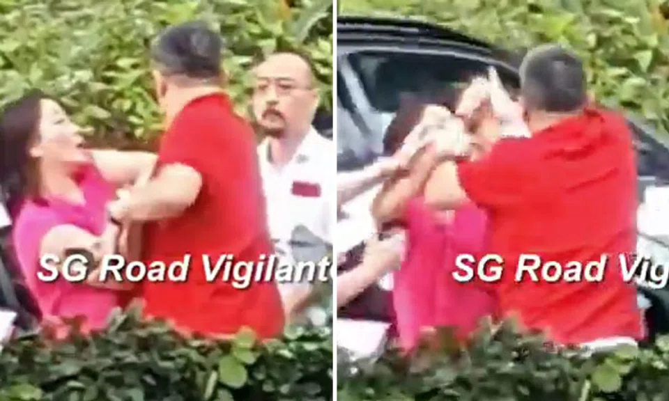 PHOTOS: SG ROAD VIGILANTE/YOUTUBE