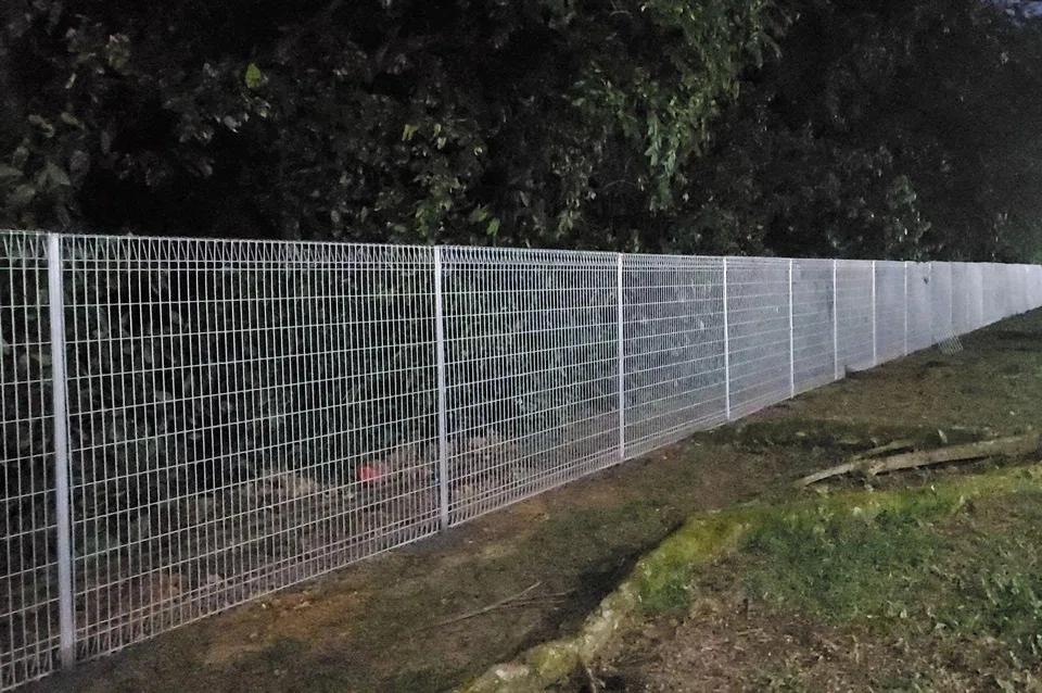 Such fences led to a drop in roadkill deaths of wild boars and sambar deer from 2023 to 2024.