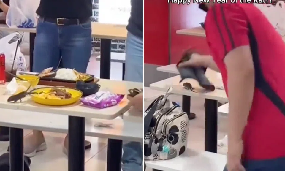 The video caption read: "Rat fell from the sky while people were eating"