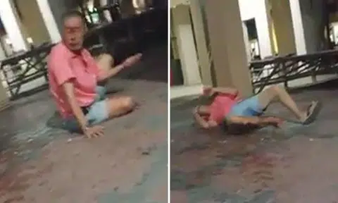 Alleged cat killer left with bloodied face after neighbourhood feeder catches him kicking cat to death