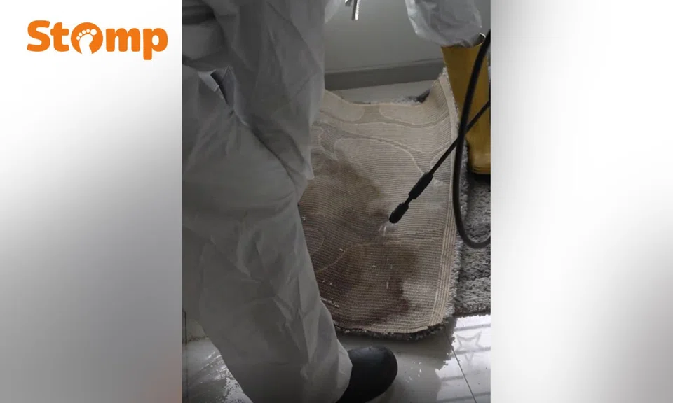 trauma cleaning