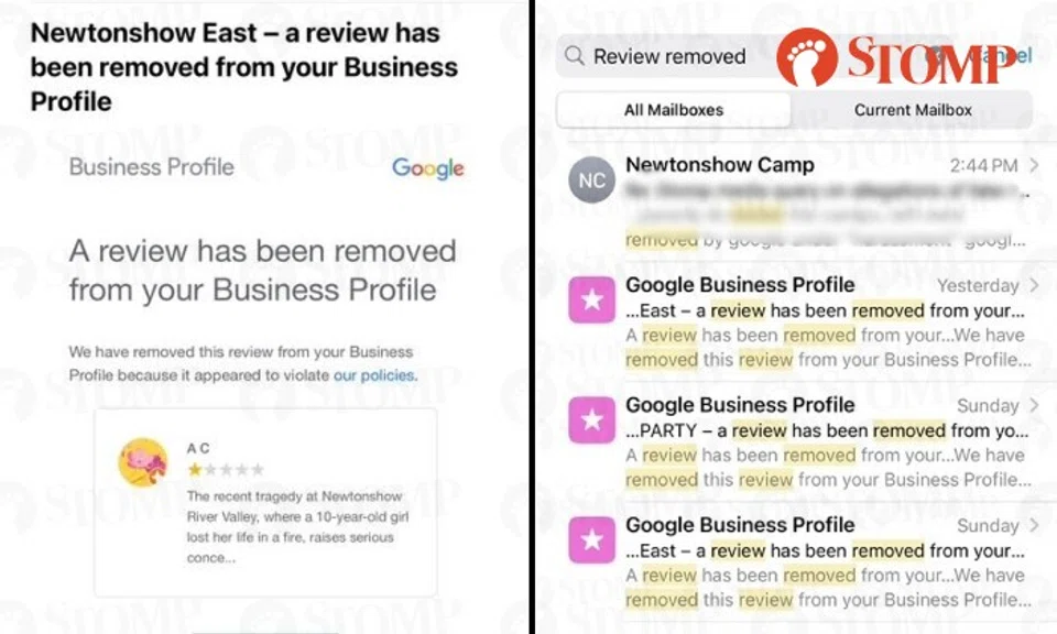 Newtonshow camp reviews