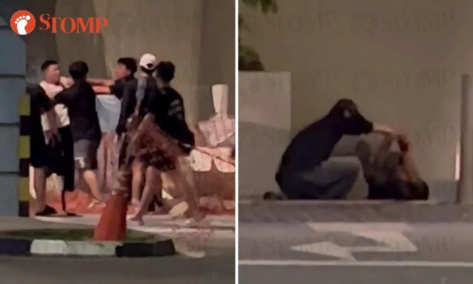 Man, 19, arrested for public nuisance after fight at Prinsep Street