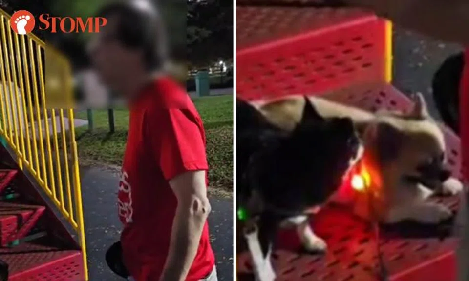 An argument broke out between a dog owner and a parent at Bishan-Ang Mo Kio Park on June 2.
