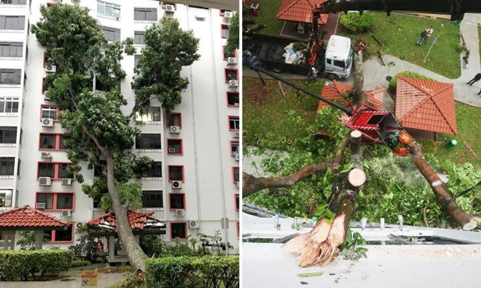 Photos: Facebook, Lianhe Wanbao