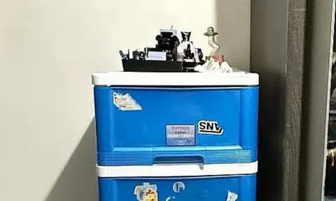 Mum who allegedly abused Ice in bedroom arrested at home in presence of her kids, 12 and 14