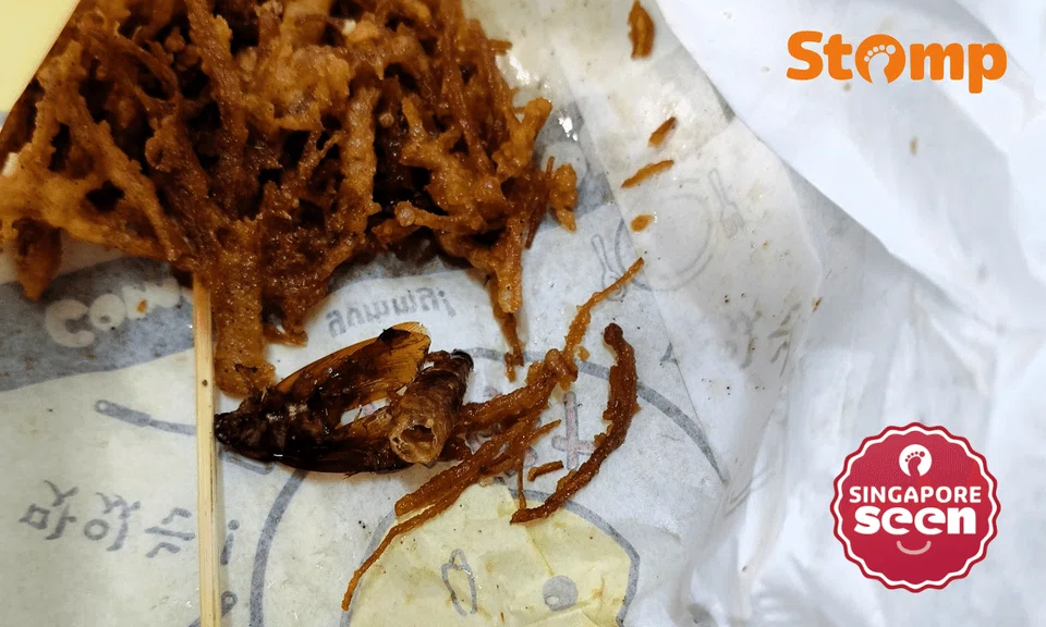 Woman finds cockroach remains in her enoki mushrooms from Bugis Street, fried chicken stall apologises