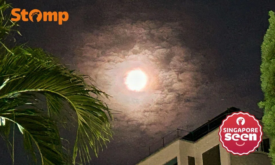 Stomper Sapphire spotted the lunar eclipse while on the way back from dinner. 