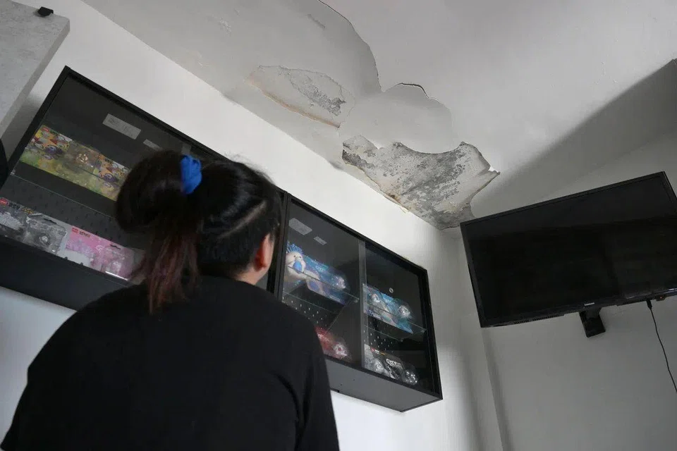 Senior Minister of State for National Development Sim Ann said it is important for town councils to build up expertise in dealing with external wall seepage.