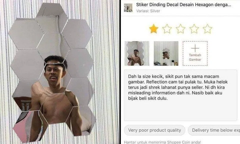 Shopee user in Malaysia gives 1-star rating to mirror sticker for 'making him look like Shrek'