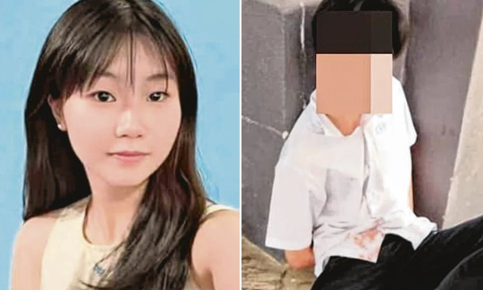 teen stabbed schoolgirl, murder trial, mental illness