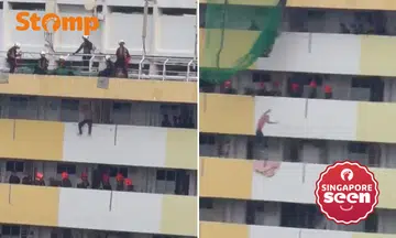 Ang Mo Kio incident, man on ledge, mental health crisis
