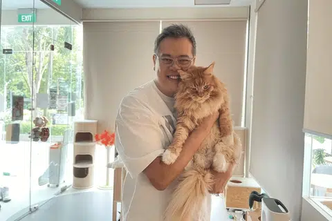 Mr Matthew Poh, managing founder of TCE at the Star Vista outlet, which doubles as a cat cafe. 