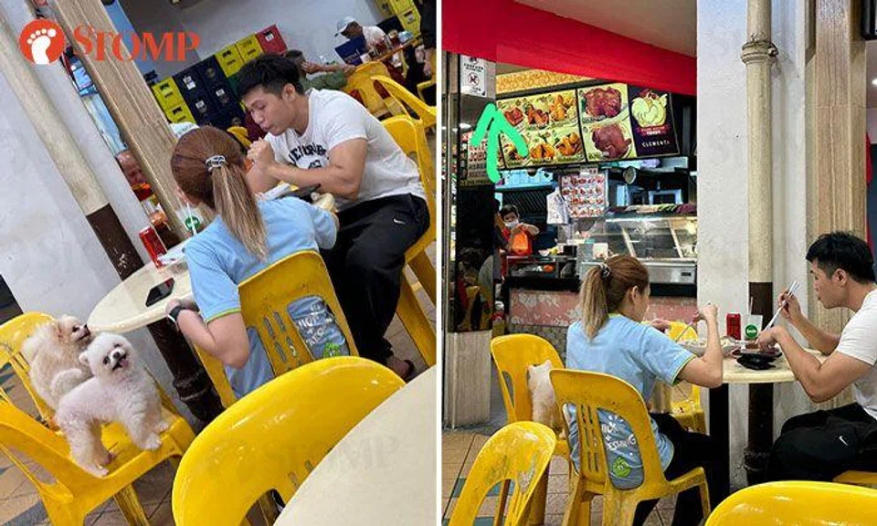 Couple bring their pet dogs with them for dinner at Clementi coffee shop despite 'no pets' sign