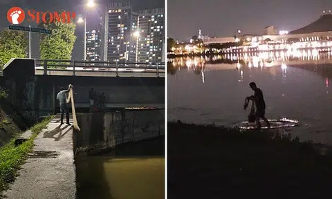 Jogger spots groups casting nets into Kallang Basin: 'Next level fishing'
