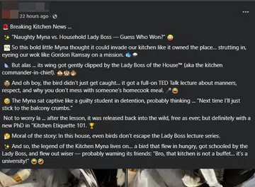 Woman tapes up myna and ‘lectures’ it for entering kitchen in ‘distressing’ FB video, ACRES ‘deeply disturbed’