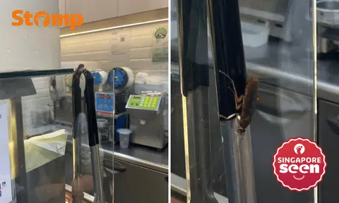 cockroach spotted at lakeside mrt mr bean