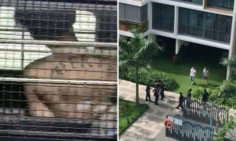 Security guard who broke into CCK condo and cut open maid's top before molesting her jailed