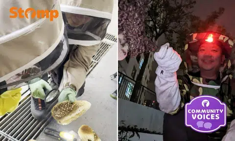 Eugene Goh, bee rescuer