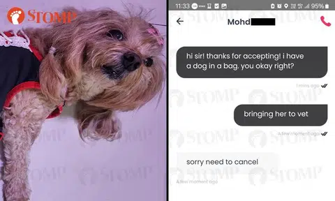 Driver suspended for cancelling RydePET trip after learning passenger has sick dog